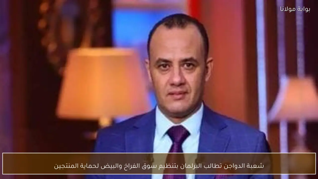 شعبة الدواجن تطالب البرلمان بتنظيم سوق الفراخ والبيض لحماية المنتجين