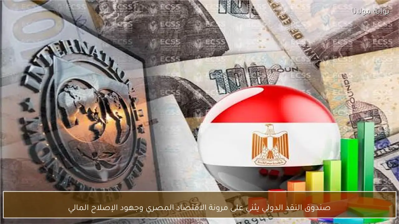 صندوق النقد الدولي يثني على مرونة الاقتصاد المصري وجهود الإصلاح المالي