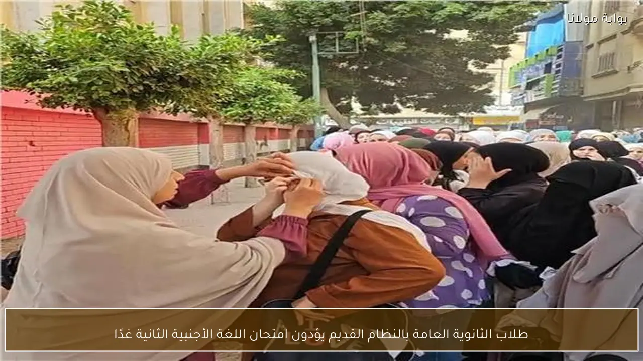 طلاب الثانوية العامة بالنظام القديم يؤدون امتحان اللغة الأجنبية الثانية غدًا