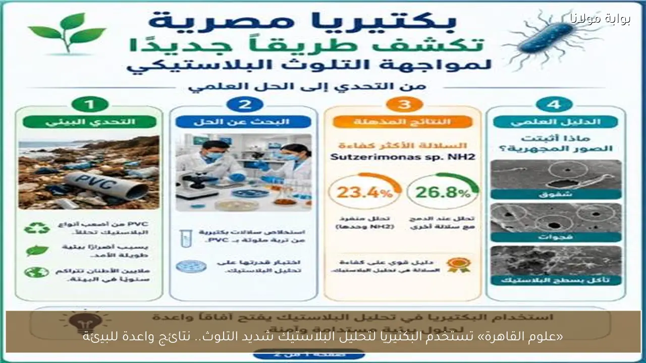 «علوم القاهرة» تستخدم البكتيريا لتحليل البلاستيك شديد التلوث.. نتائج واعدة للبيئة