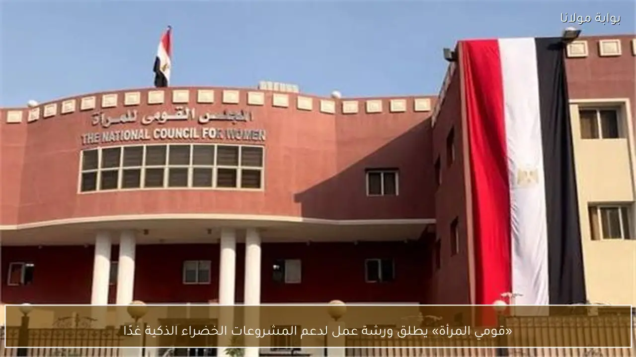 «قومي المرأة» يطلق ورشة عمل لدعم المشروعات الخضراء الذكية غدًا