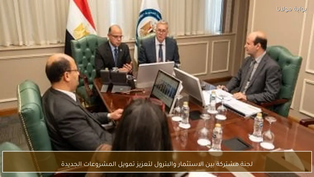 لجنة مشتركة بين الاستثمار والبترول لتعزيز تمويل المشروعات الجديدة