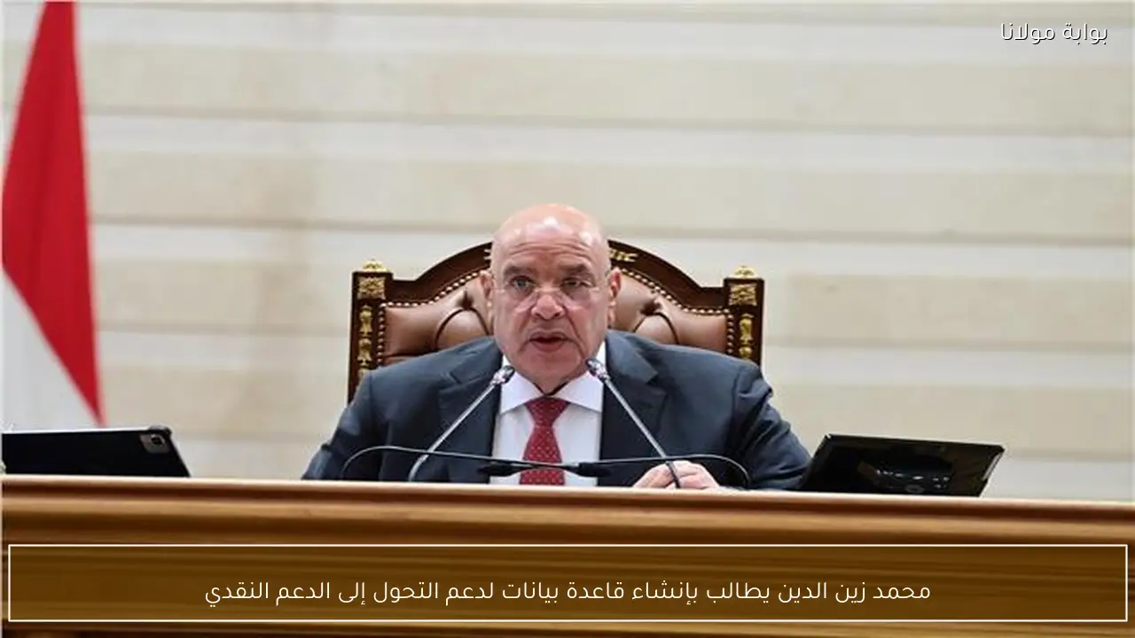 محمد زين الدين يطالب بإنشاء قاعدة بيانات لدعم التحول إلى الدعم النقدي