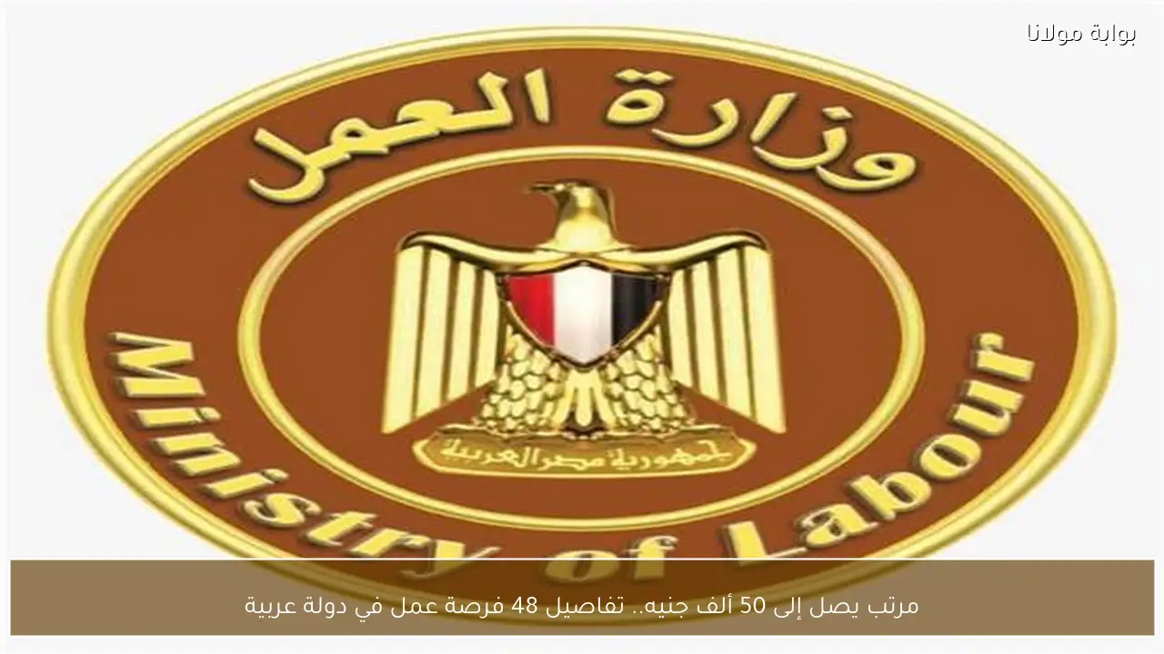 مرتب يصل إلى 50 ألف جنيه.. تفاصيل 48 فرصة عمل في دولة عربية