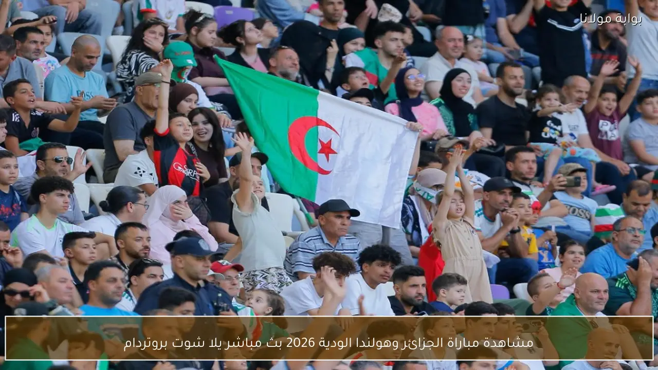 نتيجة مباراة الجزائر وهولندا الودية 2026 في روتردام