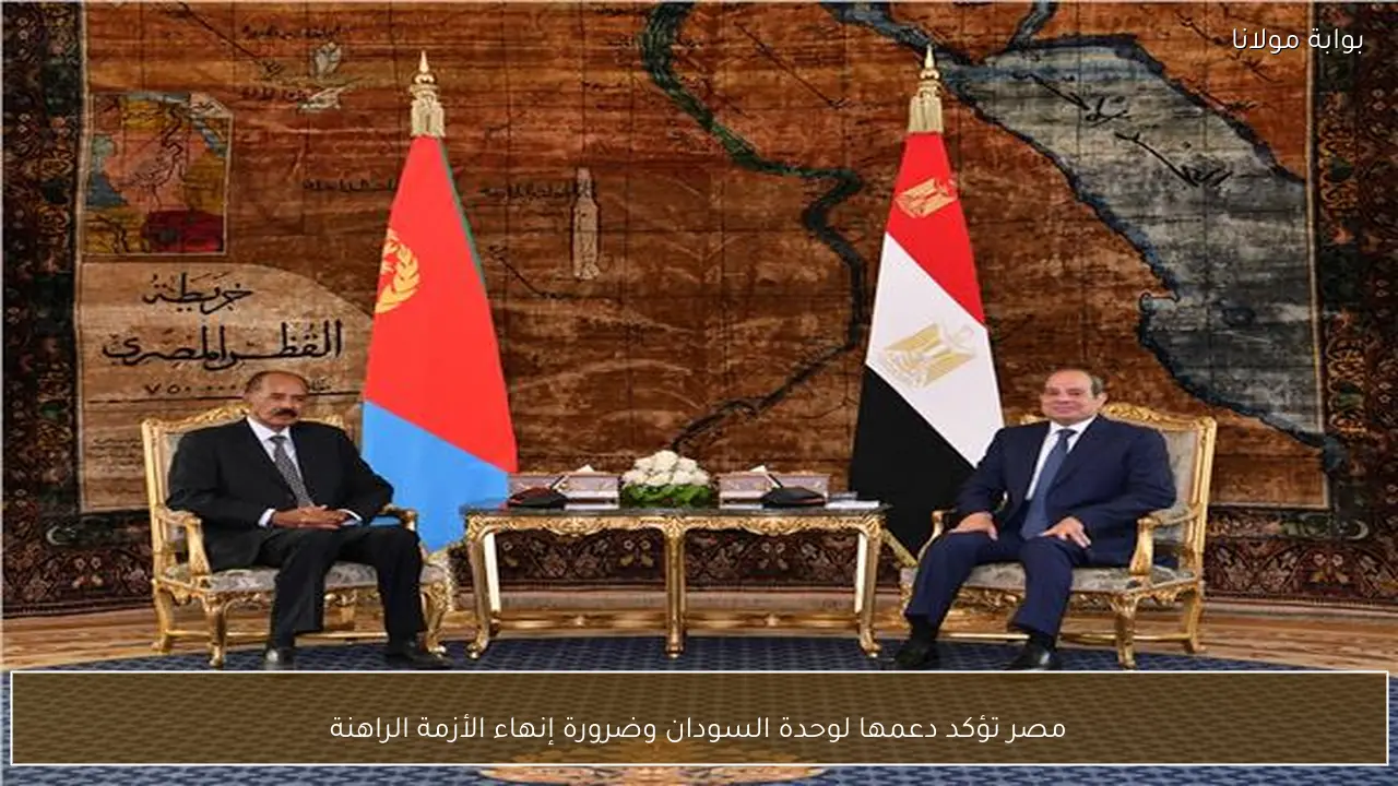 مصر تؤكد دعمها لوحدة السودان وضرورة إنهاء الأزمة الراهنة