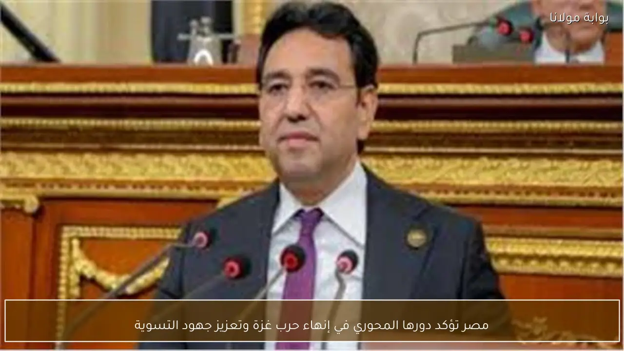 مصر تؤكد دورها المحوري في إنهاء حرب غزة وتعزيز جهود التسوية