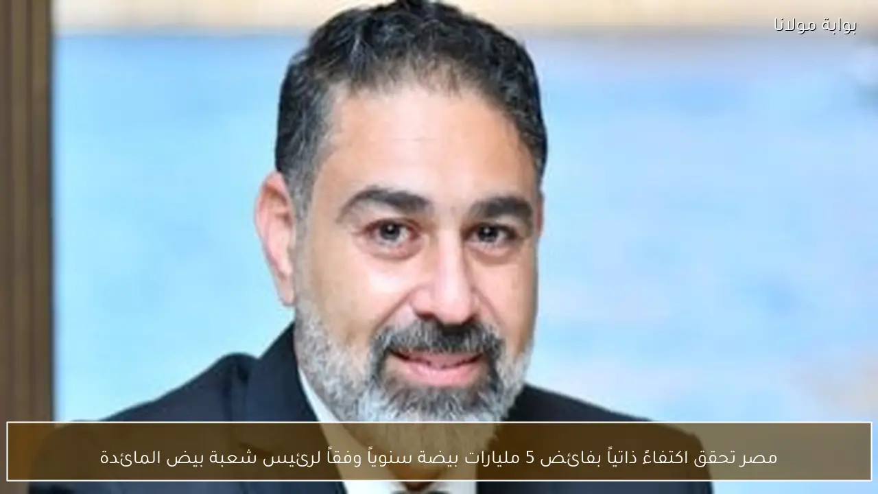 مصر تحقق اكتفاءً ذاتياً بفائض 5 مليارات بيضة سنوياً وفقاً لرئيس شعبة بيض المائدة