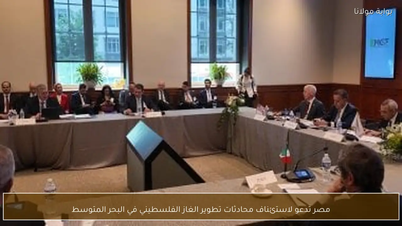 مصر تدعو لاستئناف محادثات تطوير الغاز الفلسطيني في البحر المتوسط