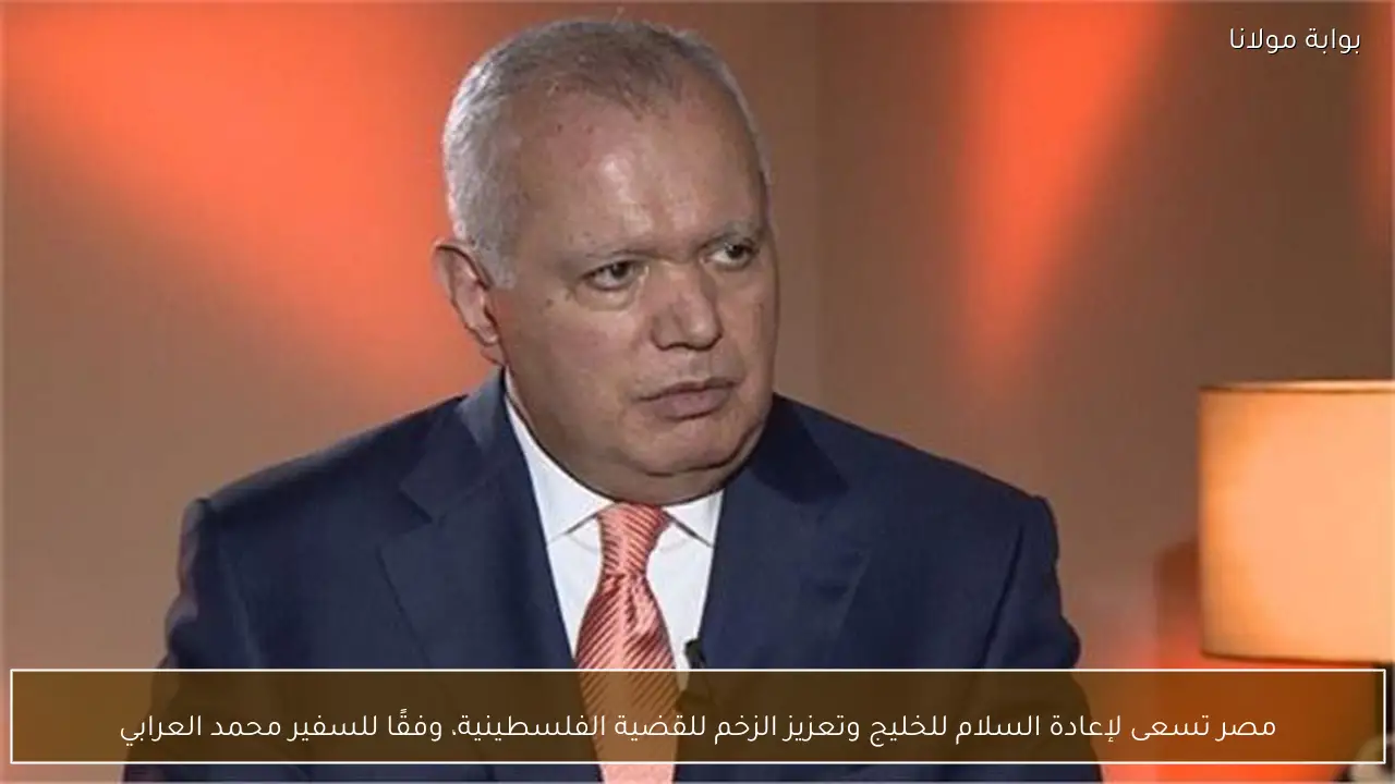 مصر تسعى لإعادة السلام للخليج وتعزيز الزخم للقضية الفلسطينية، وفقًا للسفير محمد العرابي