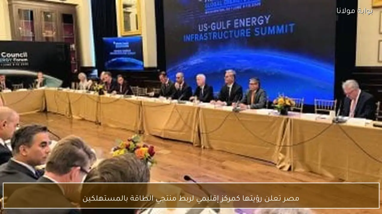 مصر تعلن رؤيتها كمركز إقليمي لربط منتجي الطاقة بالمستهلكين
