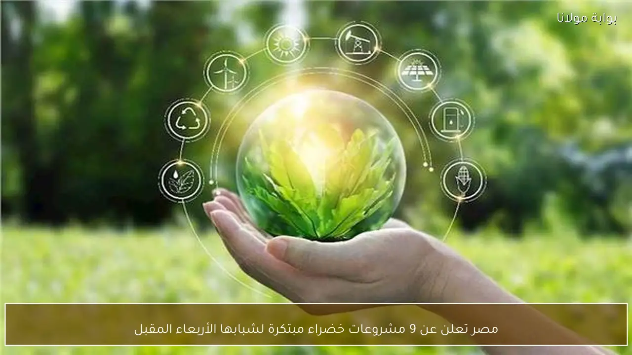 مصر تعلن عن 9 مشروعات خضراء مبتكرة لشبابها الأربعاء المقبل