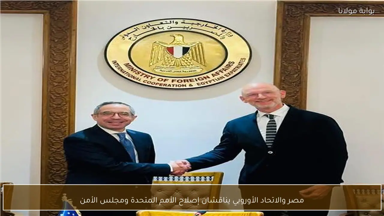 مصر والاتحاد الأوروبي يناقشان إصلاح الأمم المتحدة ومجلس الأمن