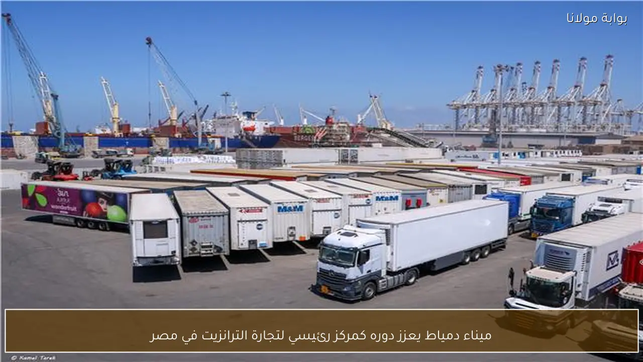 ميناء دمياط يعزز دوره كمركز رئيسي لتجارة الترانزيت في مصر