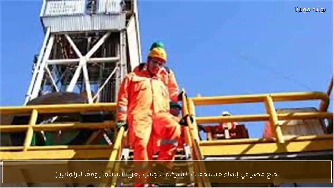 نجاح مصر في إنهاء مستحقات الشركاء الأجانب يعزز الاستثمار وفقًا لبرلمانيين