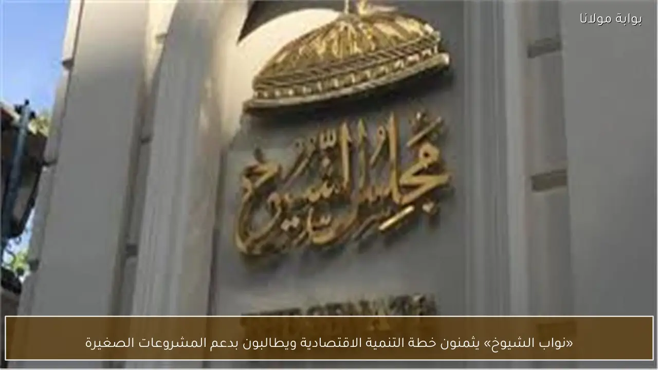 «نواب الشيوخ» يثمنون خطة التنمية الاقتصادية ويطالبون بدعم المشروعات الصغيرة