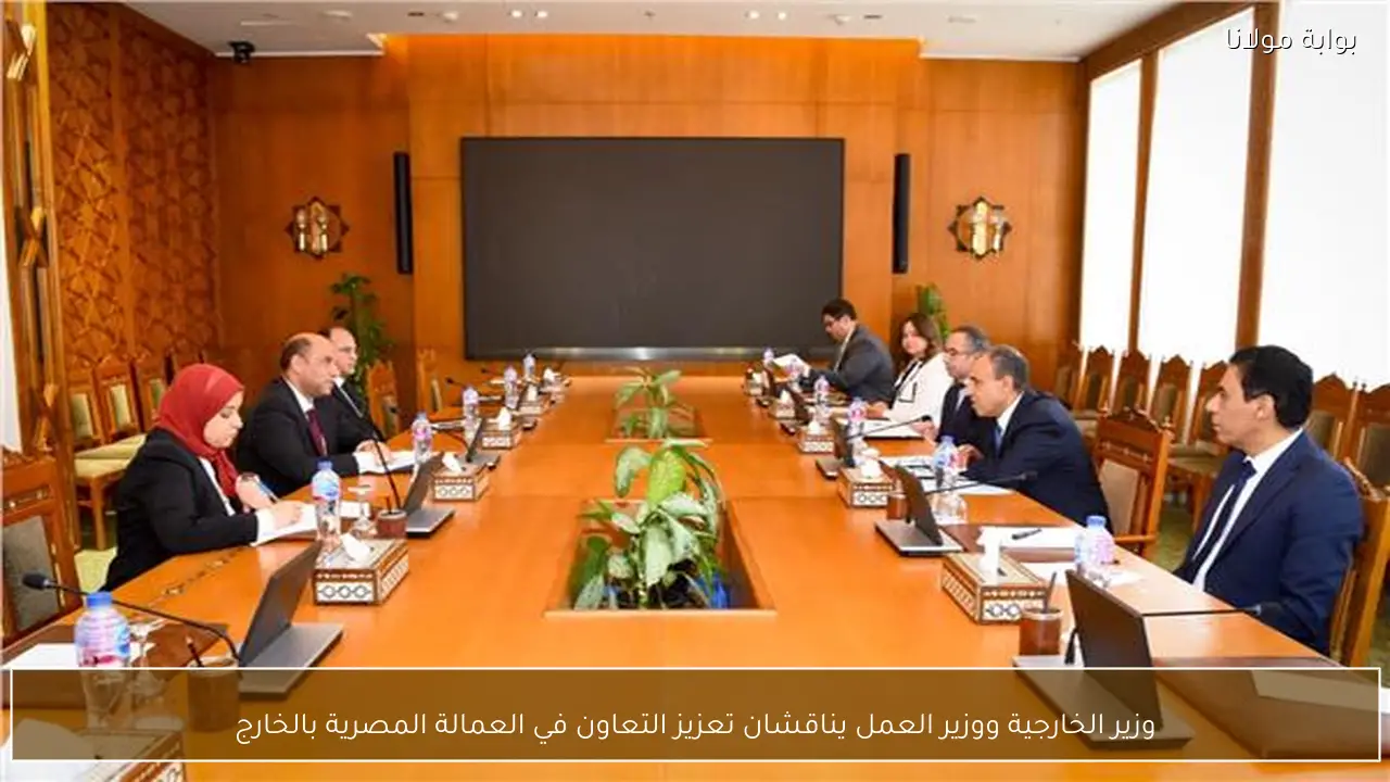 وزير الخارجية ووزير العمل يناقشان تعزيز التعاون في العمالة المصرية بالخارج