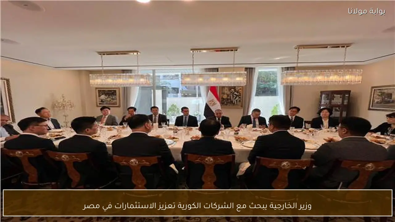 وزير الخارجية يبحث مع الشركات الكورية تعزيز الاستثمارات في مصر