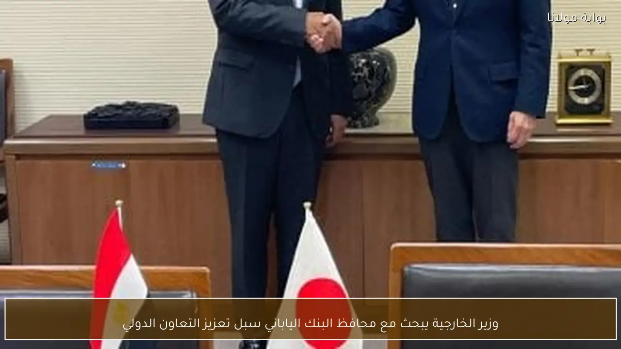 وزير الخارجية يبحث مع محافظ البنك الياباني سبل تعزيز التعاون الدولي