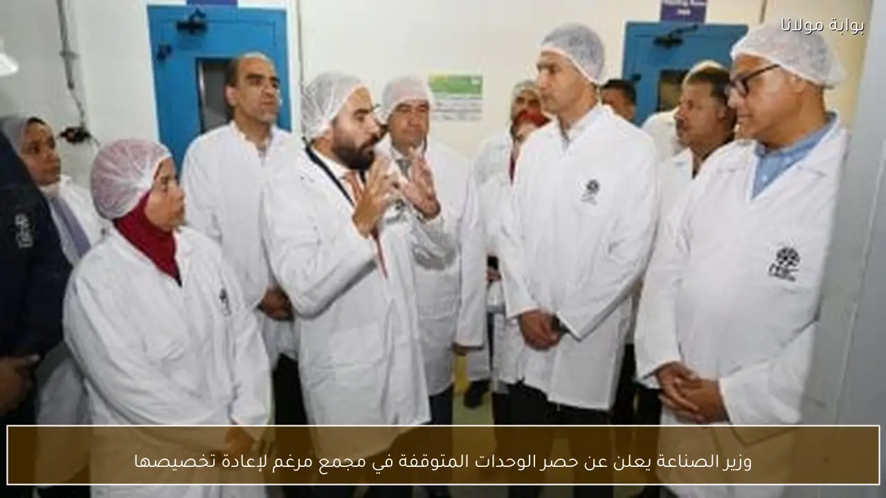 وزير الصناعة يعلن عن حصر الوحدات المتوقفة في مجمع مرغم لإعادة تخصيصها
