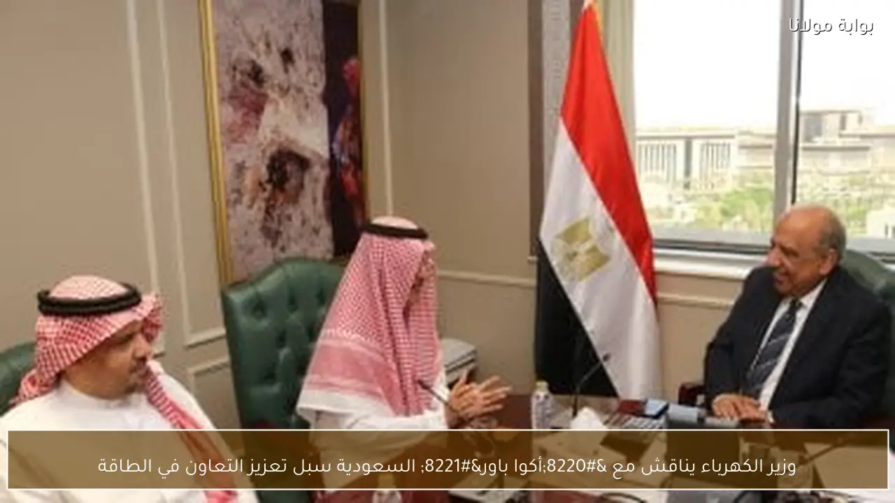 وزير الكهرباء يناقش مع “أكوا باور” السعودية سبل تعزيز التعاون في الطاقة