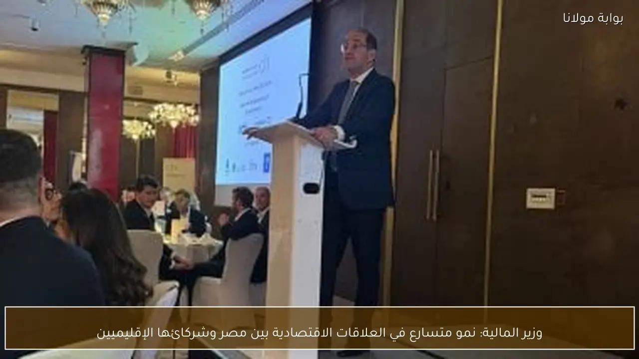 وزير المالية: نمو متسارع في العلاقات الاقتصادية بين مصر وشركائها الإقليميين