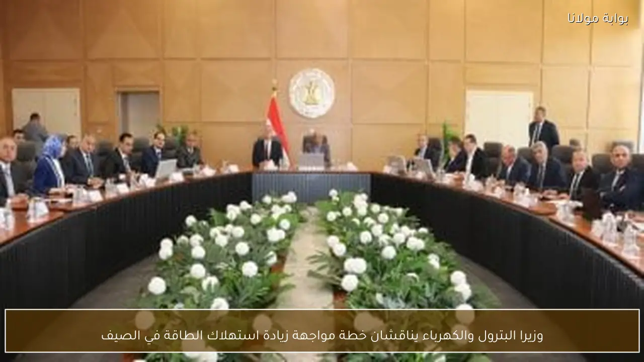وزيرا البترول والكهرباء يناقشان خطة مواجهة زيادة استهلاك الطاقة في الصيف