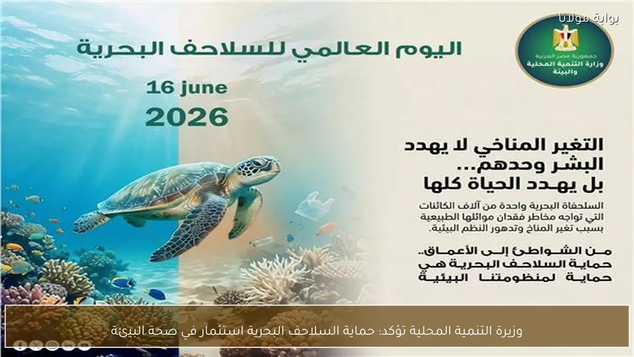 وزيرة التنمية المحلية تؤكد: حماية السلاحف البحرية استثمار في صحة البيئة