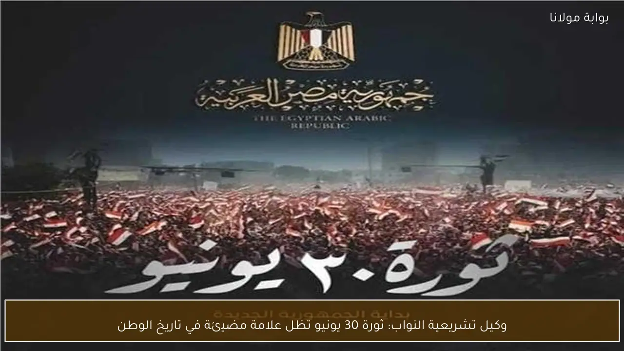 وكيل تشريعية النواب: ثورة 30 يونيو تظل علامة مضيئة في تاريخ الوطن