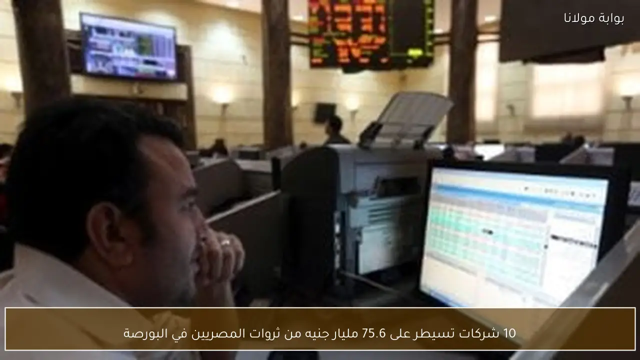 10 شركات تسيطر على 75.6 مليار جنيه من ثروات المصريين في البورصة