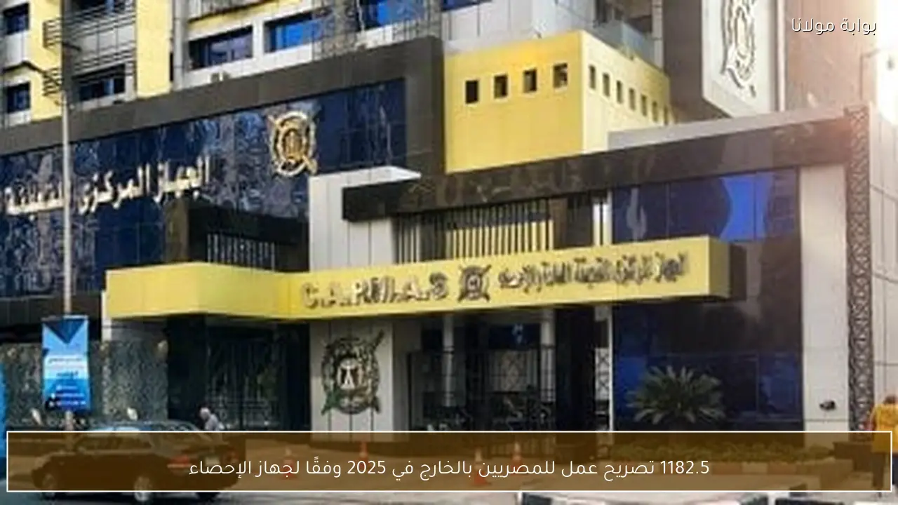 1182.5 تصريح عمل للمصريين بالخارج في 2025 وفقًا لجهاز الإحصاء