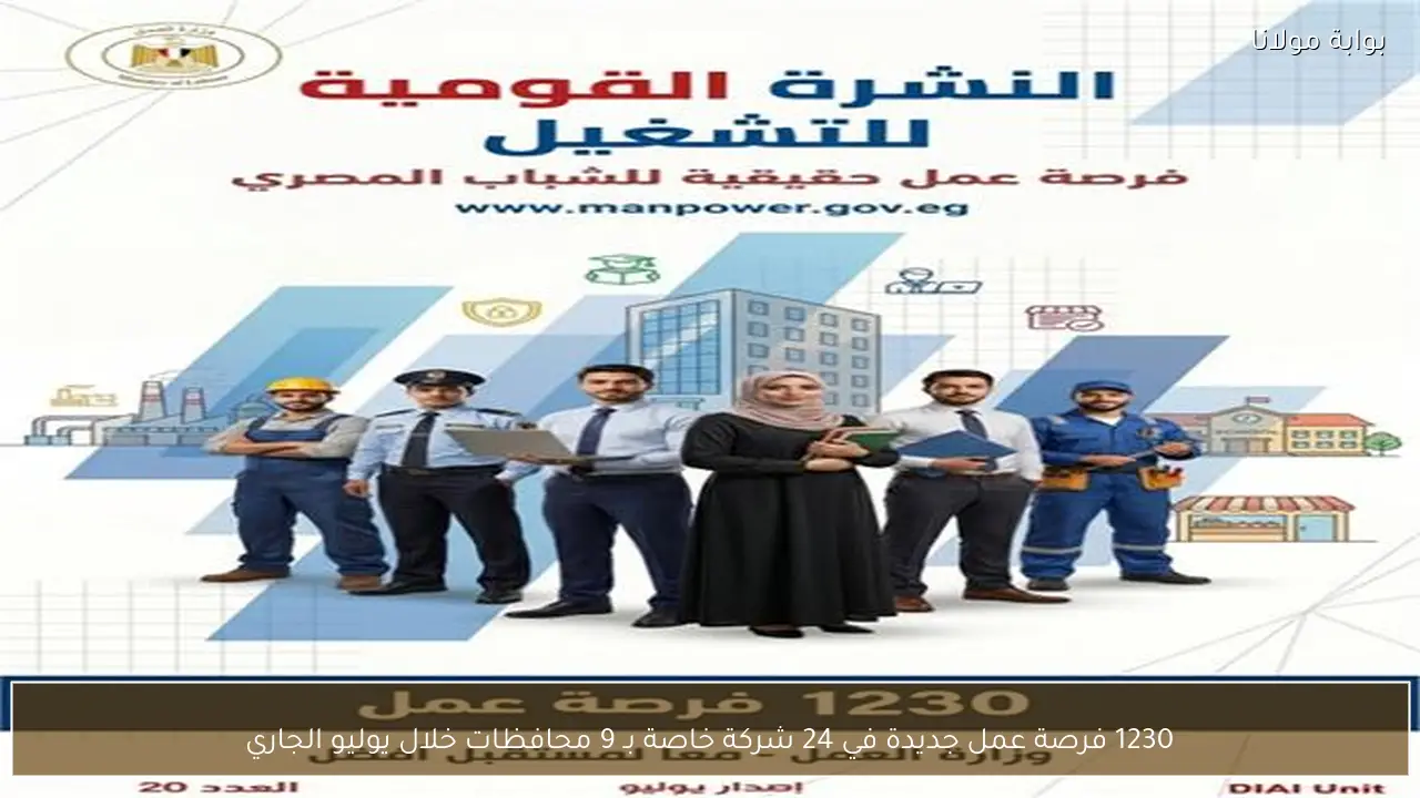 1230 فرصة عمل جديدة في 24 شركة خاصة بـ 9 محافظات خلال يوليو الجاري