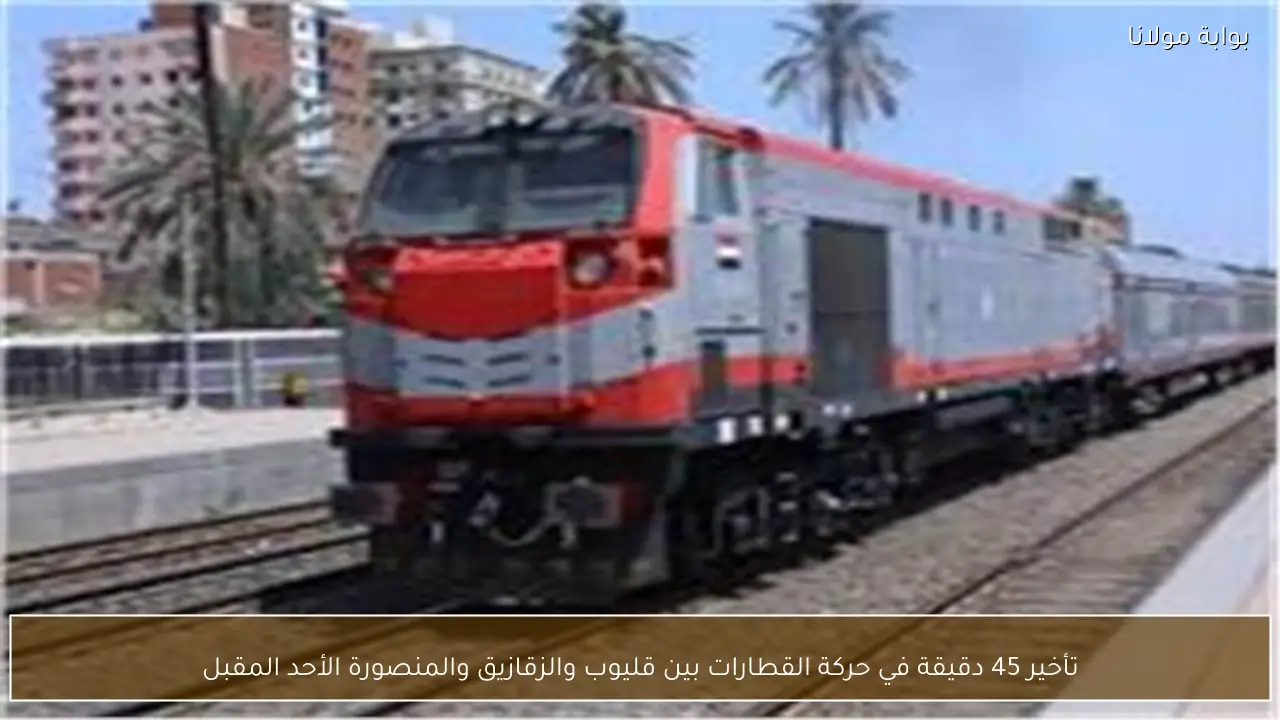 تأخير 45 دقيقة في حركة القطارات بين قليوب والزقازيق والمنصورة الأحد المقبل