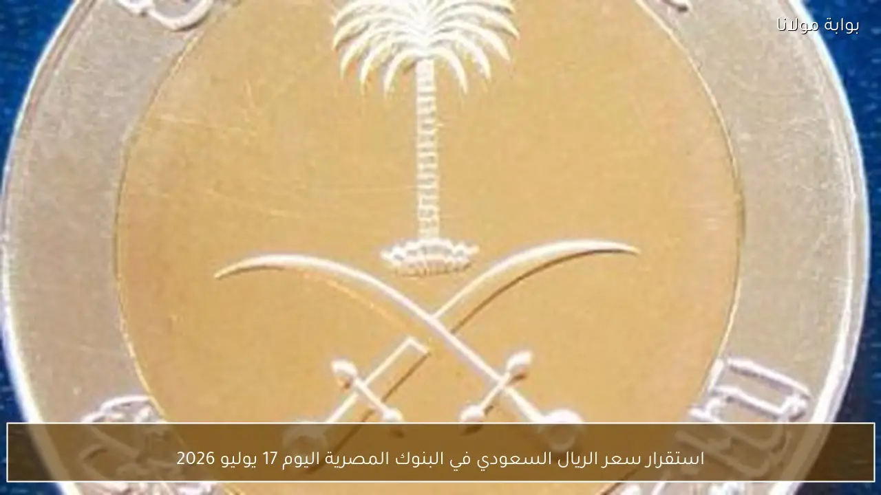 استقرار سعر الريال السعودي في البنوك المصرية اليوم 17 يوليو 2026