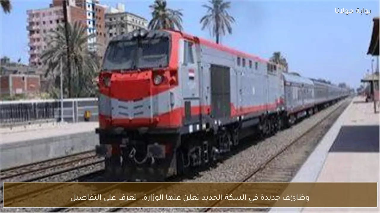 وظائف جديدة في السكة الحديد تعلن عنها الوزارة.. تعرف على التفاصيل