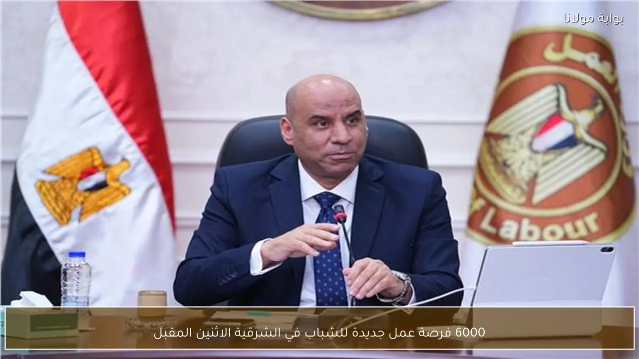 6000 فرصة عمل جديدة للشباب في الشرقية الاثنين المقبل