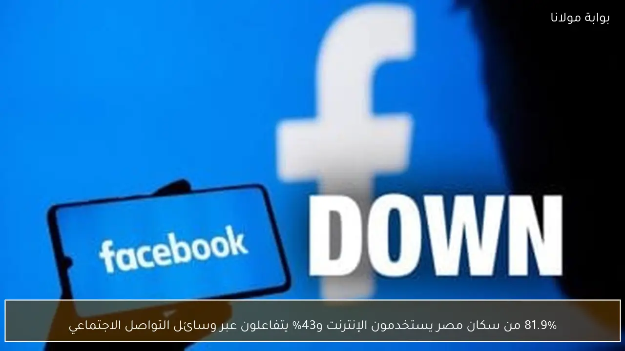 81.9% من سكان مصر يستخدمون الإنترنت و43% يتفاعلون عبر وسائل التواصل الاجتماعي