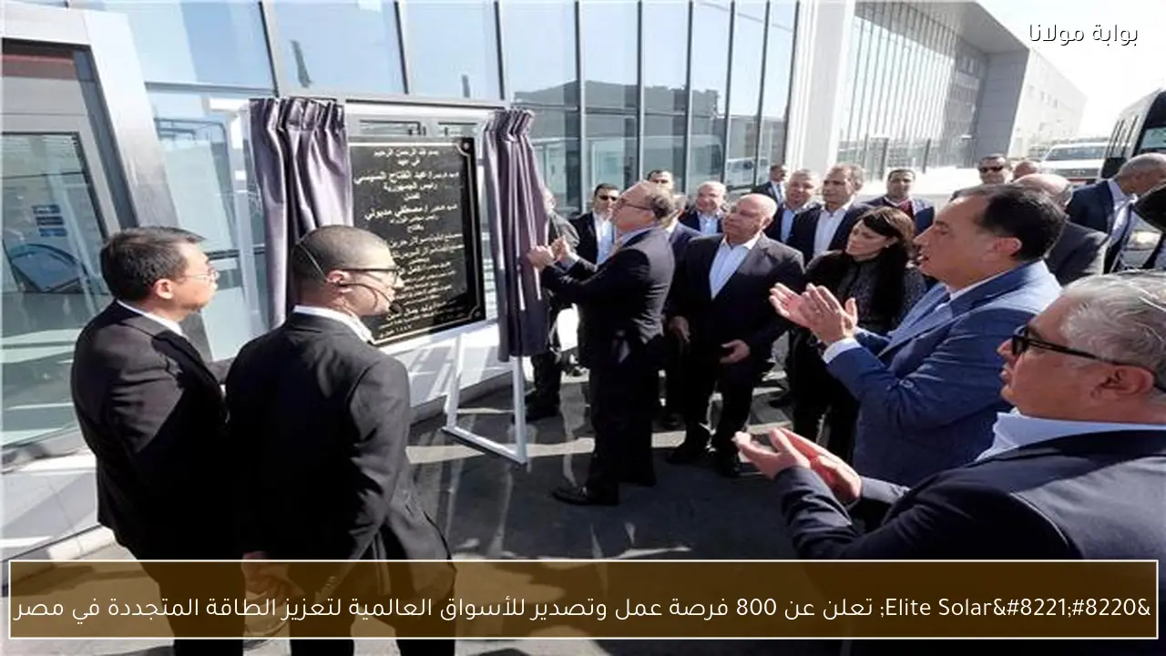 “Elite Solar” تعلن عن 800 فرصة عمل وتصدير للأسواق العالمية لتعزيز الطاقة المتجددة في مصر