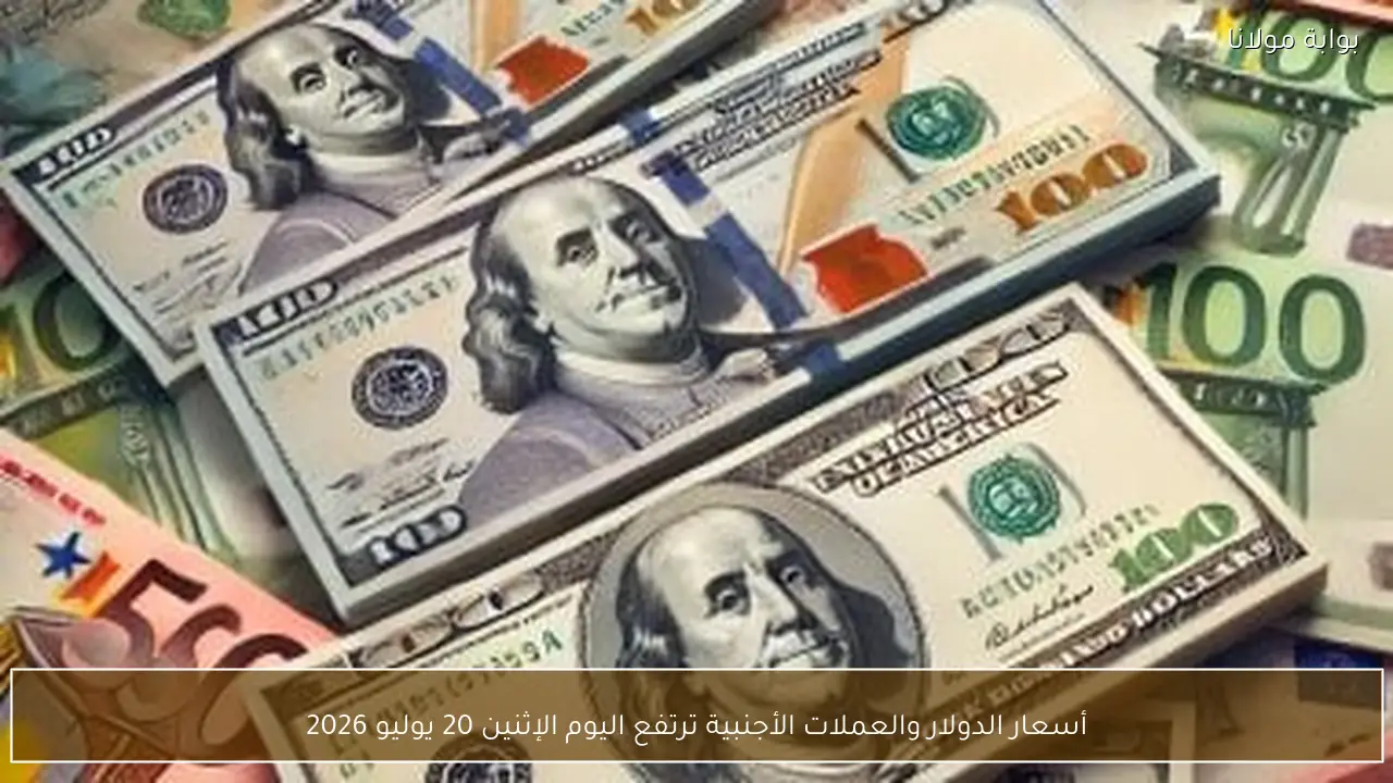 أسعار الدولار والعملات الأجنبية ترتفع اليوم الإثنين 20 يوليو 2026