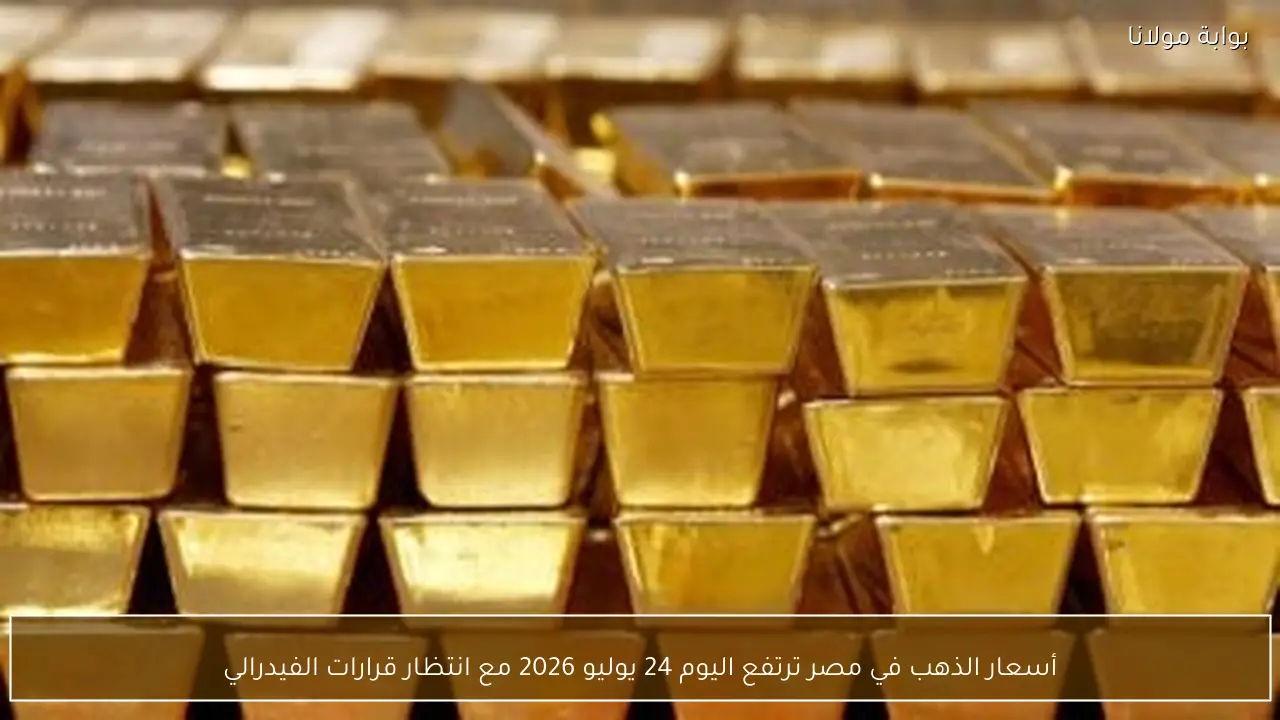 أسعار الذهب في مصر ترتفع اليوم 24 يوليو 2026 مع انتظار قرارات الفيدرالي