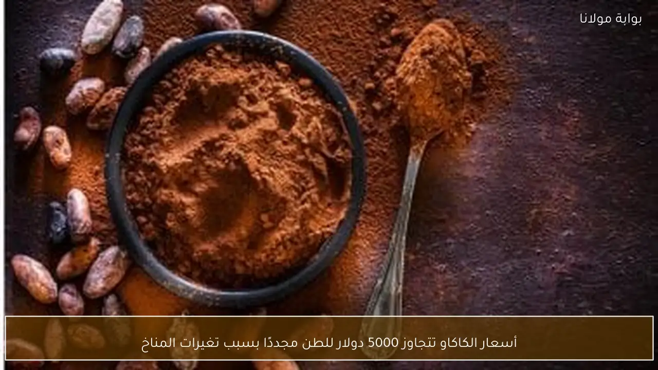 أسعار الكاكاو تتجاوز 5000 دولار للطن مجددًا بسبب تغيرات المناخ