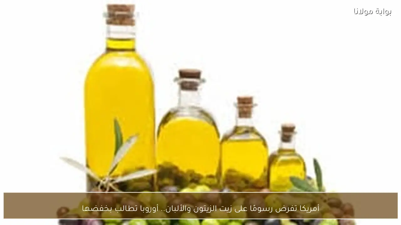 أمريكا تفرض رسومًا على زيت الزيتون والألبان.. أوروبا تطالب بخفضها