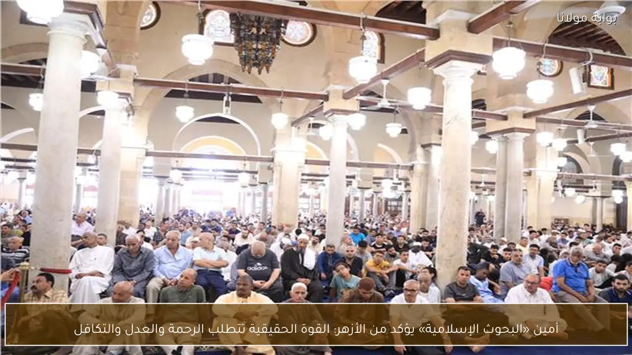 أمين «البحوث الإسلامية» يؤكد من الأزهر: القوة الحقيقية تتطلب الرحمة والعدل والتكافل