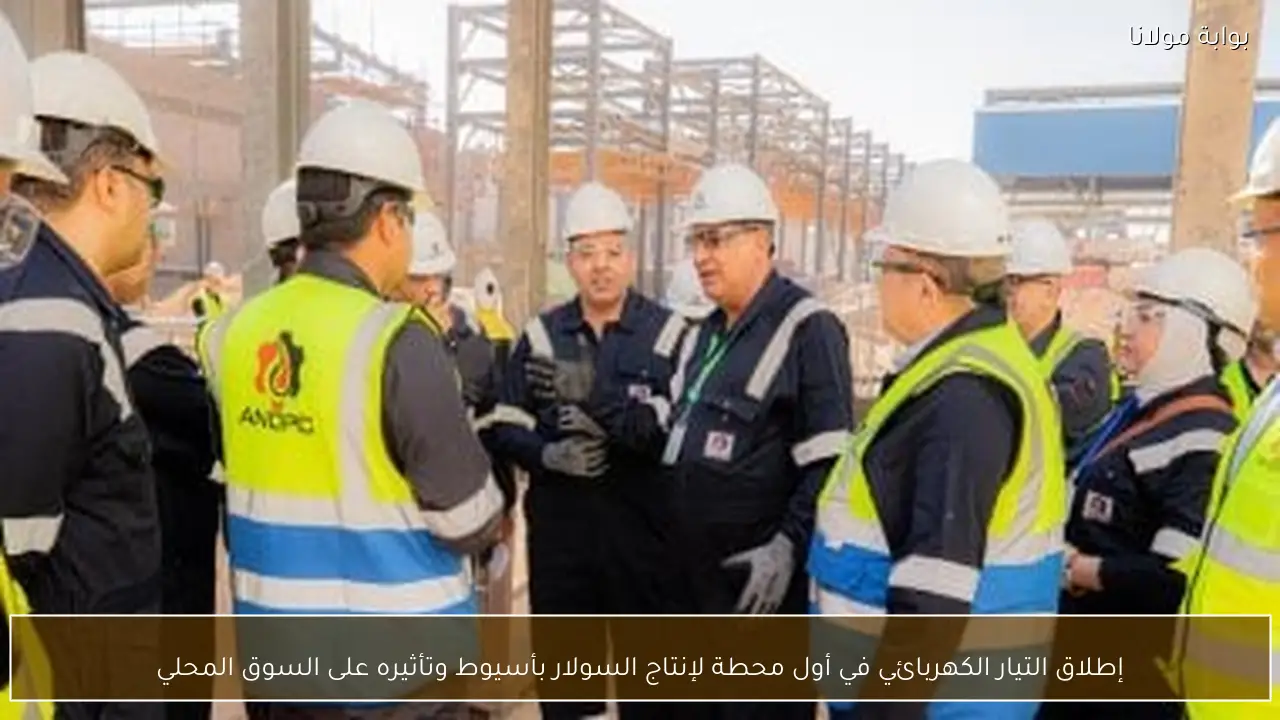إطلاق التيار الكهربائي في أول محطة لإنتاج السولار بأسيوط وتأثيره على السوق المحلي