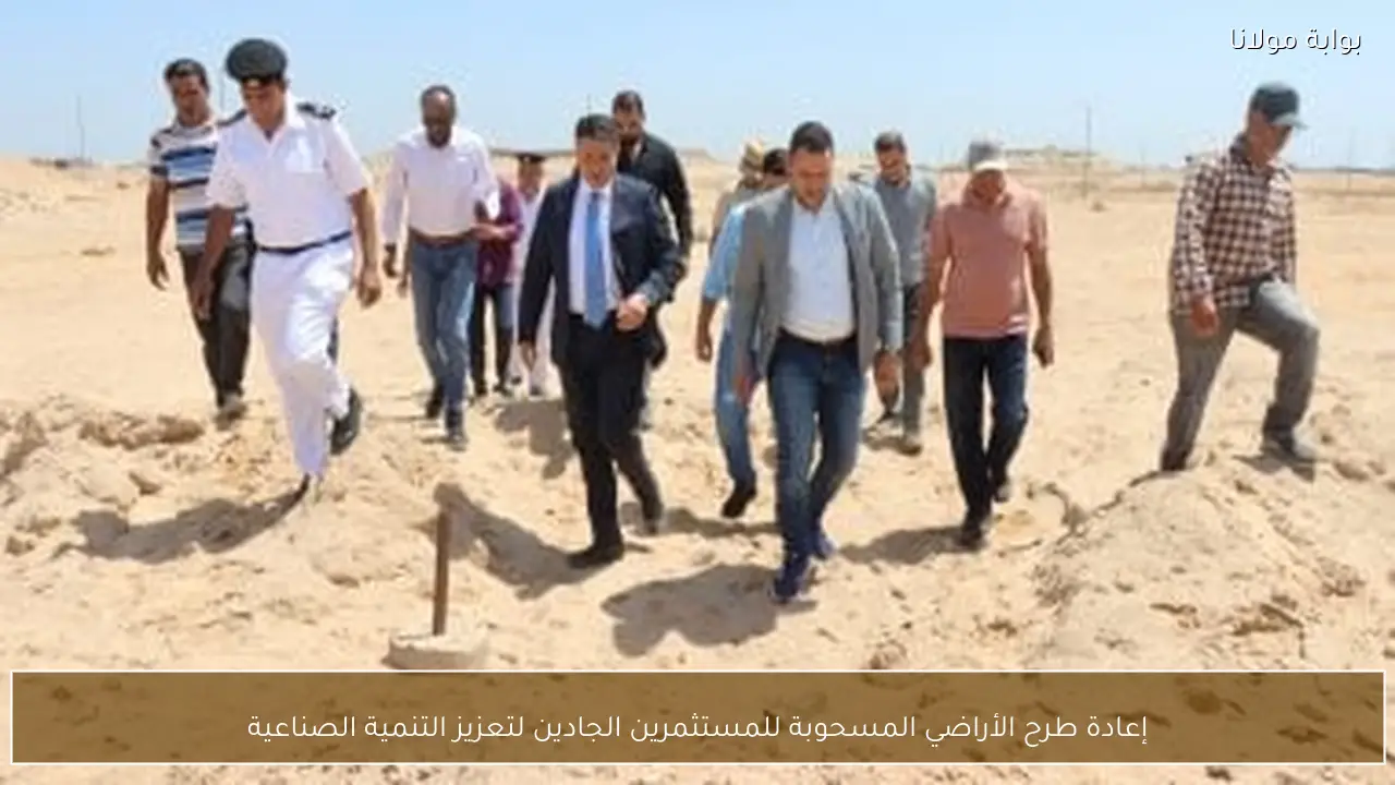 إعادة طرح الأراضي المسحوبة للمستثمرين الجادين لتعزيز التنمية الصناعية