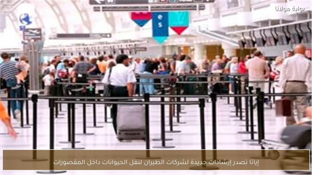 إياتا تصدر إرشادات جديدة لشركات الطيران لنقل الحيوانات داخل المقصورات