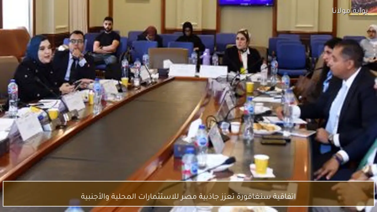 اتفاقية سنغافورة تعزز جاذبية مصر للاستثمارات المحلية والأجنبية