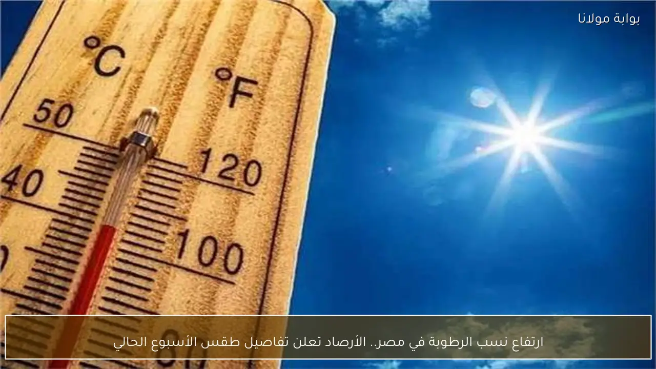 ارتفاع نسب الرطوبة في مصر.. الأرصاد تعلن تفاصيل طقس الأسبوع الحالي