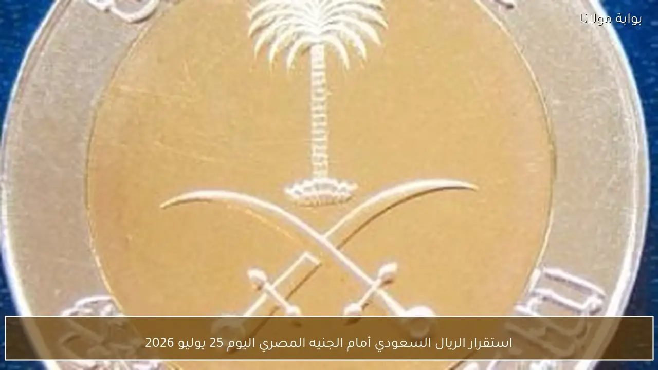 استقرار الريال السعودي أمام الجنيه المصري اليوم 25 يوليو 2026