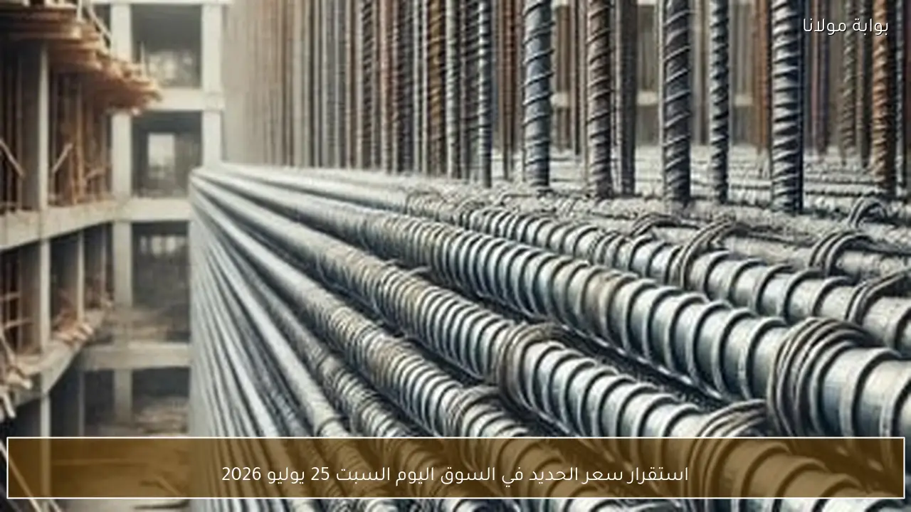 استقرار سعر الحديد في السوق اليوم السبت 25 يوليو 2026
